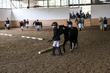Bild 63 - Pony Akademie Turnier